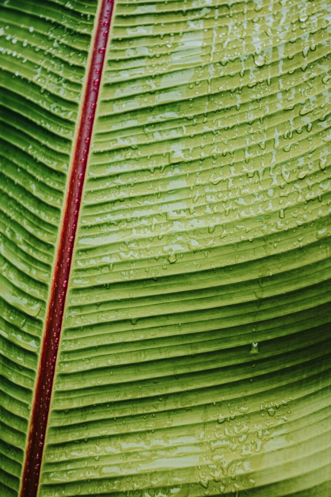 EAUde1974_lifestyle_moods_purchased_T1_Elements_172-6-scaled